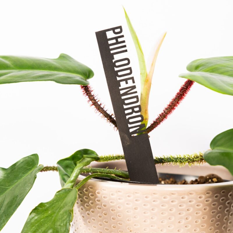 Anat - tag pianta - Marcatori di piante Marcatori di piante tropicali Marcatori di serre Messaggi da giardino